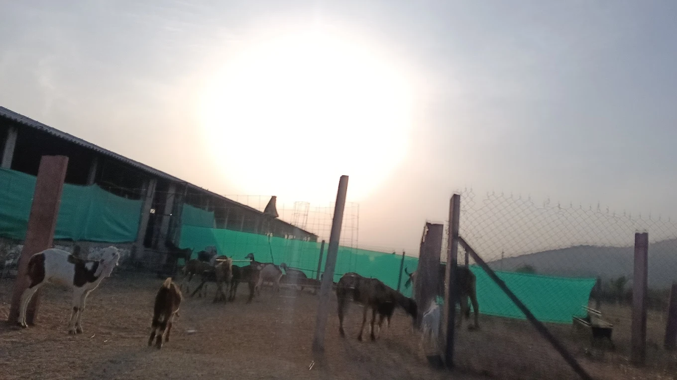 Goat shelter